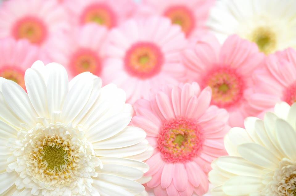 生前のうちの準備・対策が大事です